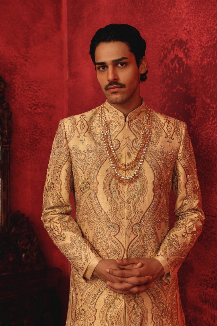 Aariz Sherwani