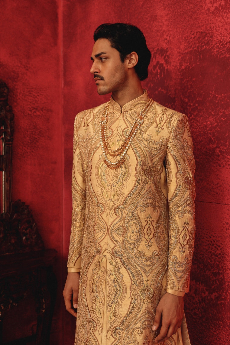 Aariz Sherwani